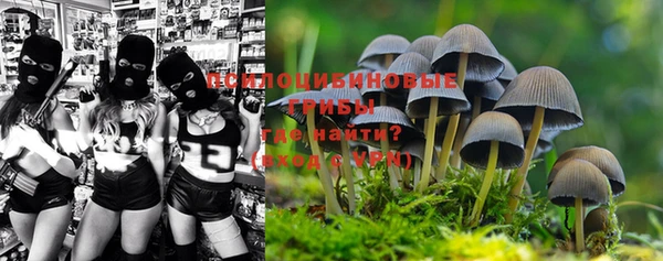 мескалин Баксан