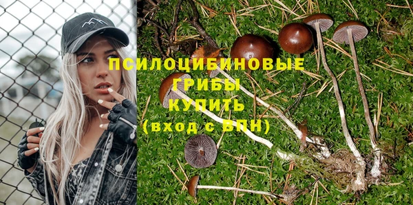 гидра Балабаново