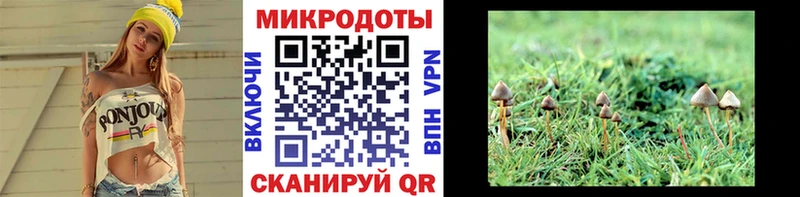 Псилоцибиновые грибы Cubensis  Саки 